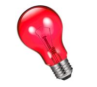 Lampe chauffante - Lampe chauffante tortue 4,2 * 2,9 pouces | Kit de lumière UV pour reptiles, 100 W, lumière UV pour amphibiens pèlerins, mammifères, cochons, tortues, lézards, dragons barbus, chiens