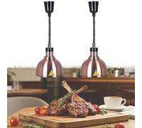 Lampe Chauffante pour Buffet, Acier Inoxydable Lampe Chauffe Plat Cuisine Suspendue 250W, Lampe Thermique Infrarouge Buffet avec Hauteur Réglable 60-180cm pour Hôtels et Cafétérias(B-25cm,2)