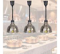 Lampe Chauffante pour Buffet, Lampe Chauffe-Plats pour Aliments Commercial, Télescopique Lampe Infrarouge 250W Professionnelle Chauffant pour Restaurant, Hauteur Réglable en Acier Inoxydable(B-25,3)