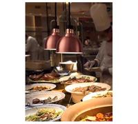 Lampe chauffante télescopique pour Aliments, Lampe chauffante Suspendue, pour Restaurants, hôtels, buffets, Cuisines et cantines (Taille 2 250 mm)