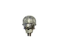 Lampe complète 40W pour Four