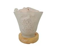 Lampe Cristal de Roche 12 cm - Fleur de Vie