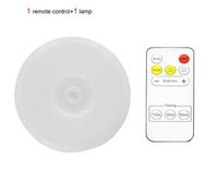 Lampe de cuisine magnétique sans fil,aste par USB,détecteur de mouvement Pir,veilleuse avec télécommande pour chambre et quartier - Type 1 control-1 lamp