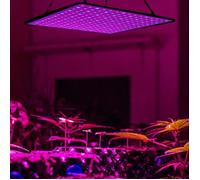 Lampe de culture - A95 - LED à spectre complet - 1000W - Efficacité énergétique - Refroidissement en aluminium