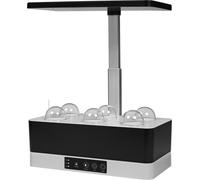 LEDVANCE 4058075576179 lampe de culture pour plantes Ampoule LED