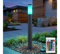 Lampe De Jardin À LED Avec Télécommande RGB Changement De Couleur