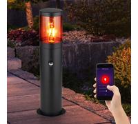 Lampe De Jardin À Pied Smart Alexa LED Dimmable Avec Détecteur De Mouvement