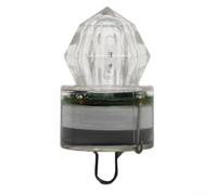 Lampe de pêche LED sous l'eau - Leurre clignotant pour eau douce et salée - Durée de 300 h - Rouge, blanc, bleu, vert (blanc)