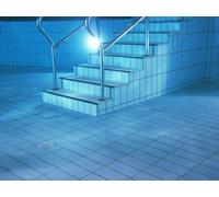 Lampe De Piscine Led Par56 16W 1500lm 6500K Grand Angle - 145619