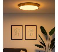 Plafonnier Lampe de salon Lampe de chambre à coucher Lampe de salle à manger ronde couleur laiton, métal plastique, 1x LED 15W 990lm 3000K blanc chaud, D 25 cm