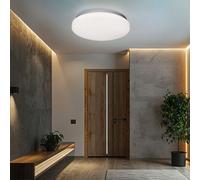 Lampe De Plafond LED Opale Pour Salon, Lampe De Couloir Argentée D 29 Cm