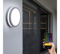 Applique murale d'extérieur lampe d'extérieur applique murale plafonnier plafonnier maison mur, commande vocale dimmable minuterie IP44, acier argent, 1x LED 14W 1440Lm 3000K, DxH 26x9.5cm