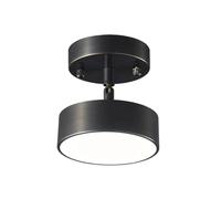 Lampe de Plafond Plafonnier Rond en Acrylique à Angle Réglable Spot LED Fin à Encastrer pour Vestiaire Balcon Couloir Allée (Foncé Petit) Éclairage de Plafond