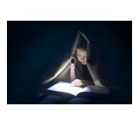 Ansmann Lampe de poche Daily Use 300B LED à pile(s) 315 lm 41 h 280 g