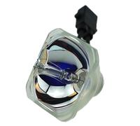 Lampe de projecteur Compatible avec Epson ELPLP39 V13H010L39, Remplacement for EMP-TW1000 EMP-TW2000 EMP-TW700 EMP-TW980(V13H010L39-CB)
