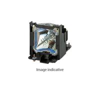 Lampe de rechange pour Nec P554U, P554W, P603X Module Compatible (remplace: NP44LP)