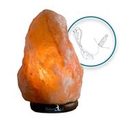 Lampe de Sel Rose de l'Himalaya Certifiée Naturalsal 2-3 KG PIÈCE UNIQUE Sculptée à la main avec base en bois précieux. 100% Pure et Naturelle. Ampoule incandescente et câble certifié CE inclus.