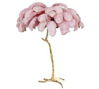 Lampe de Sol en Plumes d'autruche pour Salon, Lampe de Sol dorée à intensité Variable, idéale comme Cadeau pour Une Fille (Rose φ55 x H60 cm)