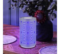 Lampe de table Lampe d'appoint Lampe de chevet Batterie Changement de couleur RVB LED Tactile Gris