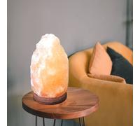 Lampe de table, lampe d'appoint, lampe de chevet, lampe de table, lampe de lecture, bois de cristal de sel, marron naturel, câble USB, 1x LED 5W, H 11,4 cm