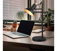 Lampe de Table Accumulateur Luminaire Noir Salon Spot Réglable