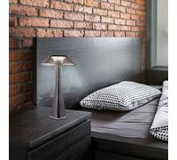 Lampe de Table Chevet Accumulateur Luminaire LED Batterie Graduant Tdc Fumée USB