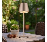 Lampe d'extérieur Lampe de table Batterie Touchdimmer Rehausse bouteille CCT, champagne, USB-C, LED 3W 200Lm blanc chaud-froid, DxH 11,5x35,5 cm