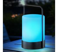 Lampe de table extérieure Batterie Lampe de table de jardin USB rechargeable Lampe solaire Décoration de jardin, dimmable Télécommande Changement de couleur portable, 1x LED 3000K, DxH 12x20 cm