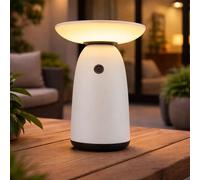 Lampe De Table Globo Lampe Solaire Extérieure LED IP54 Blanc ALU USB-C