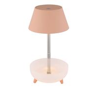 Lampe de table, lampe d'appoint, lampe de chevet, variateur tactile, batterie LED, pêche 2 en 1