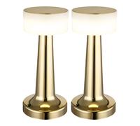 Lampe de table lampe de table lampe de chambre lampe de lecture dimmable lampe de salon, plastique couleur laiton, batterie USB CCT, 1x LED 1W 55Lm blanc chaudblanc froid, H 21,5 cm, lot de 2