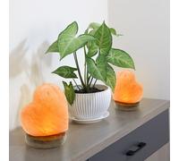Lampe de Table Lampe Décorative Cristal de Sel USB Feu Latéral Cœur 2er Set
