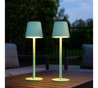 Lampe de table Lampe d'extérieur Lampe de jardin Lampe de terrasse, métal plastique vert pâle opale, Touchdimmer, LED 3W 130LM 3000K blanc chaud, 2er Set