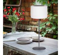 Lampe de Table Lampe Solaire Dimmable Télécommande Jardin LED 39,5cm