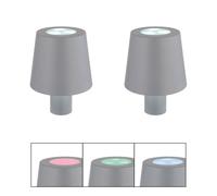 Lampe de table LED RGB Batterie Lampe pour bouteille Rehausse Goulot de bouteille Lampe décorative Variateur d'intensité tactile, USB, gris, 1W blanc froid, DxH 10,5x14 cm, Lot de 2