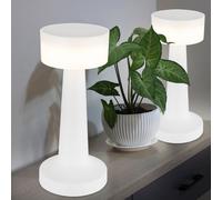 Lampe de table lampe de bureau lampe de table lampe de lecture lampe de salon, plastique blanc, batterie USB dimmable CCT, 1x LED 1W 55Lm blanc chaudblanc froid, H 21,5 cm, lot de 2