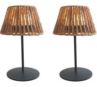 Lampe de table LUMISKY set de 2 LED sans fil raffy