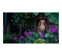 Lampe de table solaire : finition cuivré