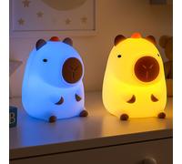 Lampe de Table Veilleuse Graduateur au Toucher Changement Couleur Akku RGB LED