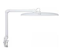 MAUL Lampe LED MAULexplore | Lampe de travail professionnelle | LED dimmable | Lampe à pince LED de 6500 K | Lampe lumière du jour pour bureau, modélisme, atelier | Blanc