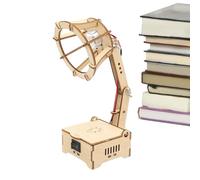 Lampe d'éclairage STEM - Kit d'apprentissage des sciences éducatives, décorations de bureau, modèle d'assemblage en bois pour | Jouet de développement engageant pour l'enrichissement éducatif