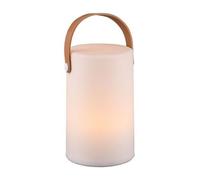 Trio-Leuchten Lampe décorative d'extérieur Aruba RVB Batterie Blanc