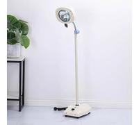 Lampe dentaire orale sans ombres, lumière d'examen gynécologique médicale avec interrupteur au pied, réglable en hauteur, pour usage clinique, gynécologie, médecine vétérinaire, esthétique médicale