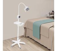 Lampe D'examen Chirurgical 12W, Rotative à 360°, Sur Pied avec Boîtier de Commande Manuel, Lampe D'examen Mobile, Luminosité de 8 000 Lux, pour Cabinets Dentaires et Gynécologiques