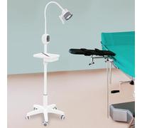 Lampe D'examen Chirurgicale 12W avec Boîtier Manuel, Lampe Dentaire à Intensité Variable de 0 à 12W et Flexible Rotatif à 360 °, Luminosité de 8000 Lux