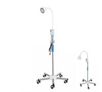 Lampe D'examen Gynécologique pour Chirurgie Orl à LED 21 W, Lumière D'examen Chirurgicale à Col de Cygne Flexible, Support de Sol à Roulettes, Lampe D'examen pour Animaux de Compagnie