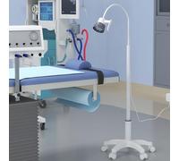 Lampe D'examen Médical Chirurgical, Rotation à 360 ° Lampe D'examen Gynécologique, Lampe pour Animaux de Compagnie pour Gynécologie, Ambulatoire, Stomatologie, Orl(Color:White basic model)
