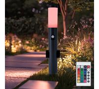 Lampe D'extérieur Avec Détecteur De Mouvement Télécommande Dimmable RGB LED