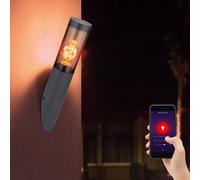 Applique d'extérieur applique murale en acier inoxydable lampe torche lampe de jardin extérieur, fumée anthracite, contrôle par application CCT, Smart RGB LED 8,5W 806Lm, DxH 7,6x40 cm