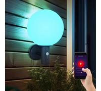 Applique avec détecteur de mouvement lumière extérieure lampe boule anthracite capteur LED applique murale maison, verre acier inoxydable, contrôle app CCT, Smart RGB LED 8,5W 806Lm, DxH 25x37 cm